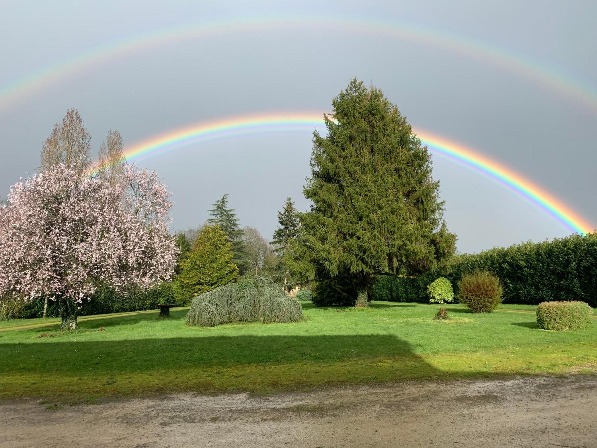 Le Bois D'Amour Gite Et Chambres Charroux  Exterior foto